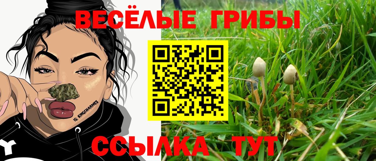 Когалым  Галлюциногенные грибы мицелий  Вход с VPN 